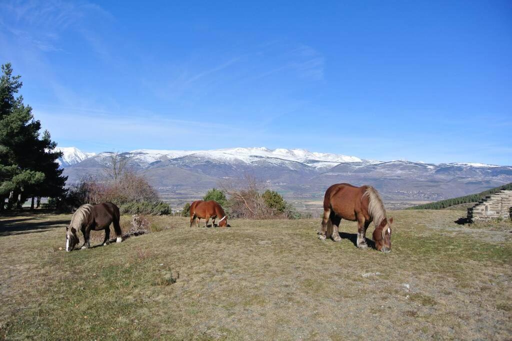 Font-Romeu La Plane Sud - Vue Panoramique Daire Dış mekan fotoğraf